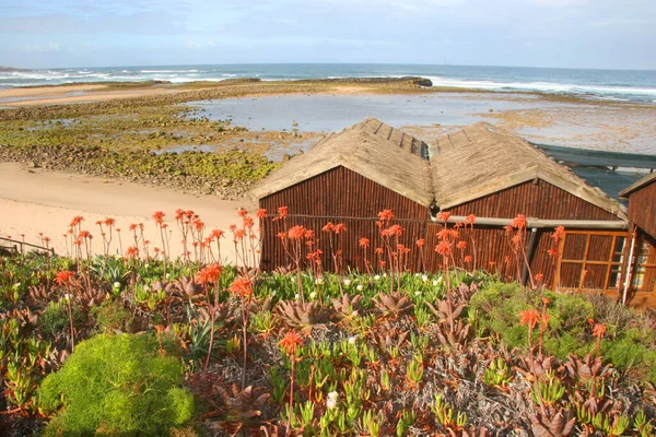 Doğanın güzel manzarası