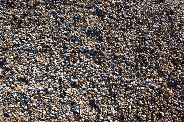 Texture Gravel Stone — Stock Photo, Image