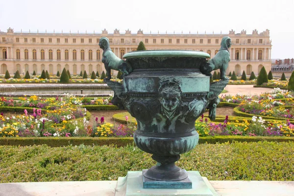 Bellissimo Giardino Con Erba Verde Laghetto — Foto Stock