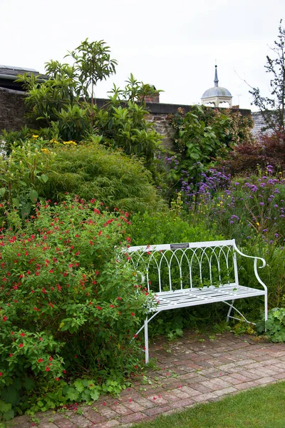 Beautiful View Garden — Stock Photo, Image