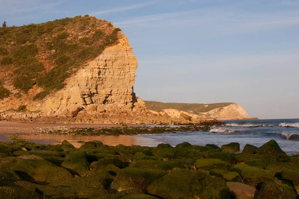 Yeşil yosunlu deniz kıyısının güzel manzarası
