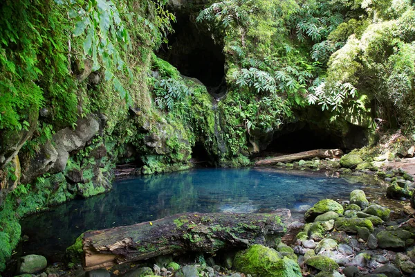 Prachtig Uitzicht Meertje Tropische Jungle — Stockfoto