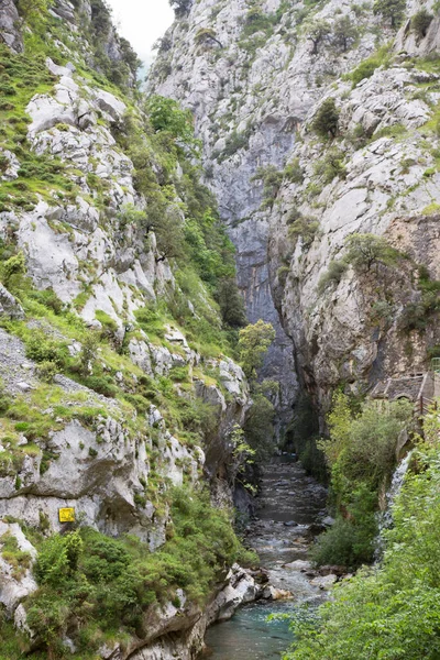 Dağ nehrinin güzel manzarası