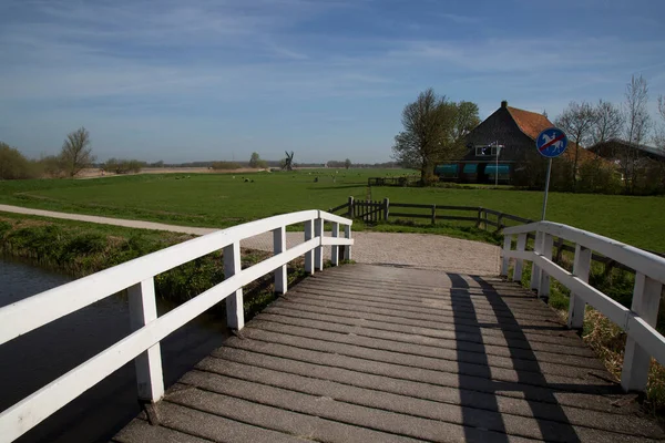 Vue Sur Eau Moulin Campagne Pays Bas — Photo