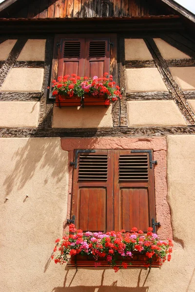 Houten Luiken Met Bloemen — Stockfoto