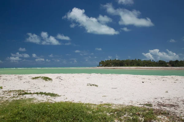 Palmiye ağaçları olan güzel tropikal plaj