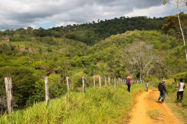 yemyeşil bir sahnede yürüyüş yapan bir grup insan, seyahat çekimleri.