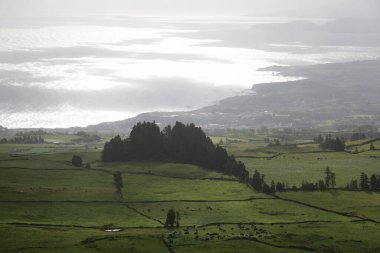 Nehir ve bulutlu gökyüzü olan güzel bir manzara.