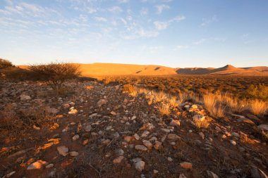 Çölün güzel manzarası