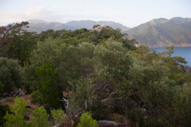 Güzel deniz manzarası