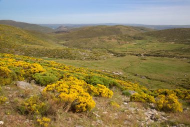 Dağların güzel manzarası. 