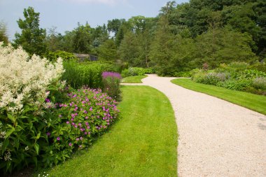 Yazın güzel bir bahçe