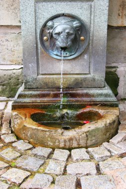 Parktaki çeşmenin yakın çekimi.