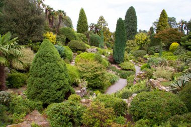 Yaz parkının güzel manzarası