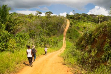 yemyeşil bir sahnede yürüyüş yapan bir grup insan, seyahat çekimleri.