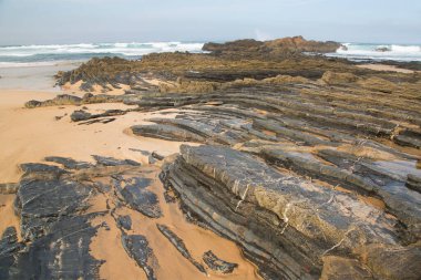 Deniz kıyısının güzel manzarası