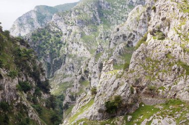Dağların güzel manzarası