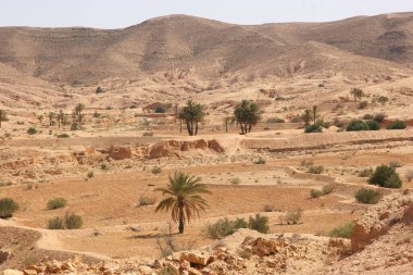 Çölün manzarası, Fas