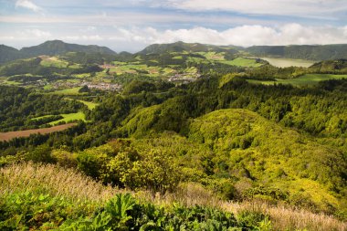 yeşil çayır ve mavi gökyüzü ve arka planda dağlar.
