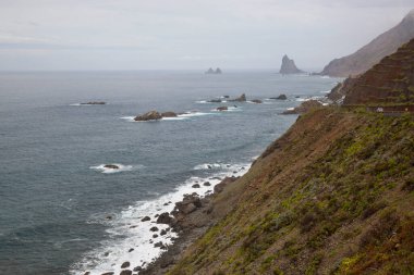 Fırtınalı denizi olan kıyı kayalıkları manzarası