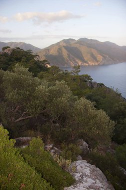 Dağlardaki nehir manzarası 