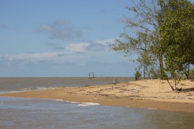 Çamurlu nehir suyu ve yeşillikle kumlu sahil
