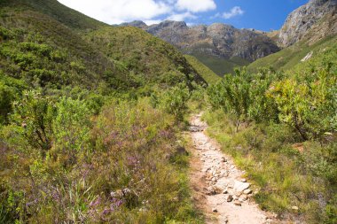 Dağları ve mavi gökyüzü olan güzel bir manzara. 