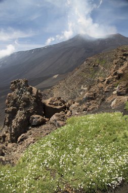 güzel dağlık volkanik manzaranın resimsel görüntüsü