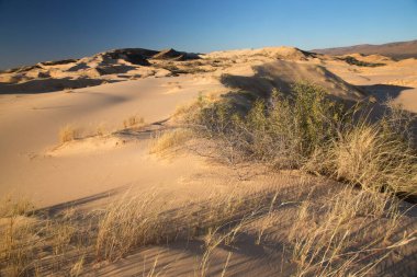 Çölün güzel manzarası