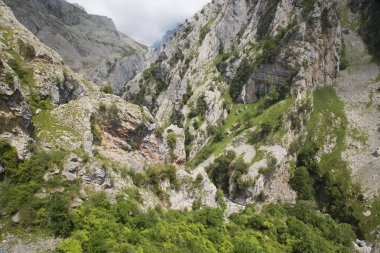 Dağların güzel manzarası