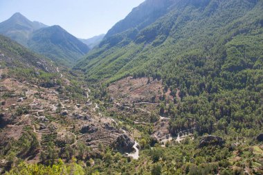 Tipik engebeli dağ yaban hayatı.