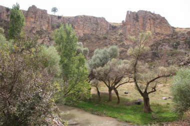 Ihlara Vadisi kanyonu. Nehir kıyısında yeşil ağaçlar var. Kanyon zemininde yüzüyor.