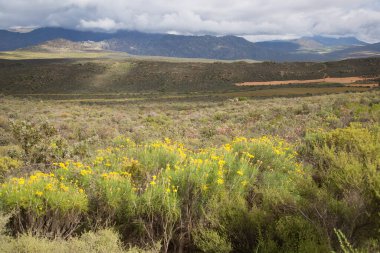 Güney Afrika 'nın Karoo çölündeki bir dağ geçidinde tipik aşınmış kaya oluşumu.