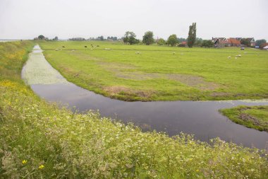 Kırsal kesimde nehir manzarası