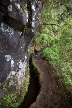 Madeira adasının tipik beton Levada sulama kanalı aynı zamanda orman volkanik dağları boyunca turistik bir yürüyüş rotasıdır.
