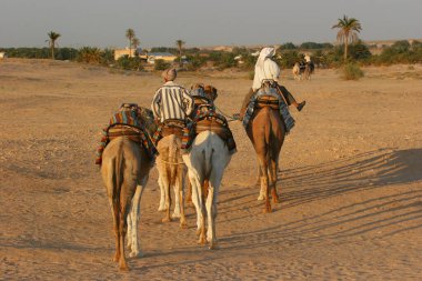 Çölde develerin üzerinde gezen insanların manzarası.