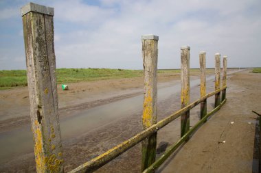 Çamurdaki ahşap çit