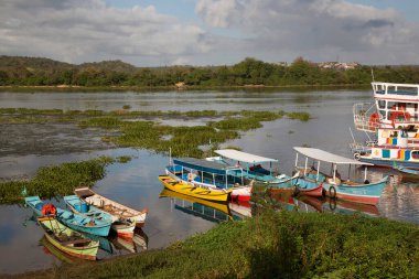 Yeşil tropik körfeze demirlemiş tekneler