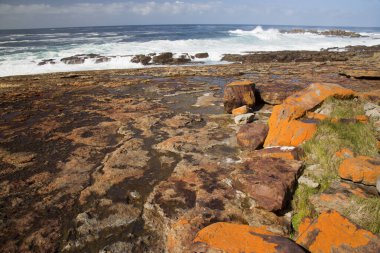 Güzel kıyı şeridi ve okyanus manzarası. 