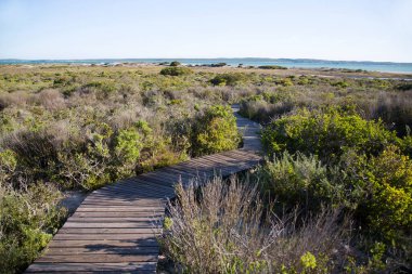 Batı Kıyısı Ulusal Parkı 'nın sulak ve çamurlu düzlüklerinde vahşi hayvanları izlemek için kuş postuna giden sahil yolu.