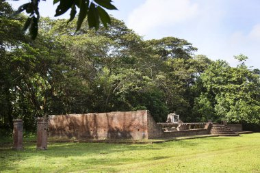 Antik Maya tapınağının kalıntıları