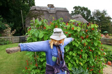 Yaz parkındaki komik korkuluk. 