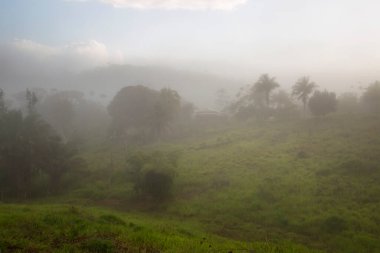 Tropik yeşillik ve güzel dağ manzarası.