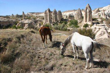Kapadokya Türkiye 'nin ünlü antik kaya evleri