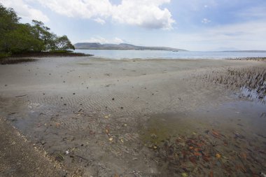 Deniz kıyısının güzel manzarası