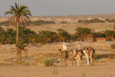Çölde develerin üzerinde gezen insanların manzarası.