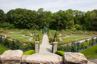 Güzel çiçekler ve bitkilerle dolu park