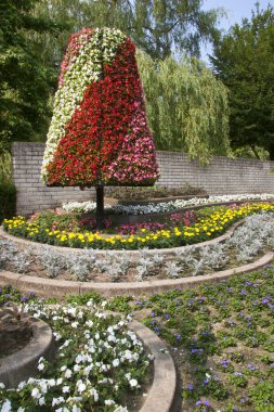 Yazın güzel bir bahçe