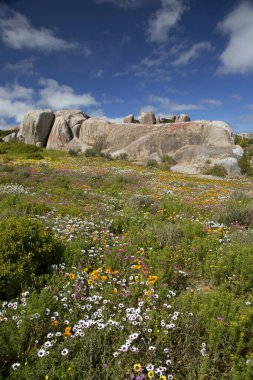 Büyük bir taş ve mavi gökyüzü olan güzel bir manzara.