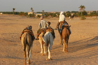 Çölde develerin üzerinde gezen insanların manzarası.